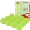 Selkirk Pro S1 Ball Pickleball